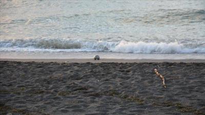 Russia Destroys Stray Ukrainian Mine in the Black Sea