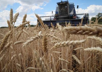 Ukraine: We Oppose Easing Sanctions on Russia in Exchange for Reviving Grain Deal