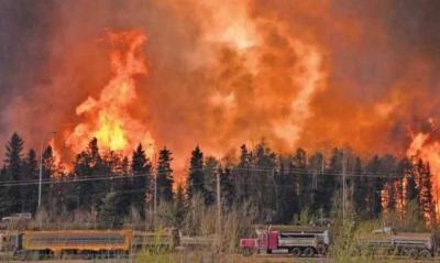 Wildfires in Canada Devour Over Ten Million Hectares
