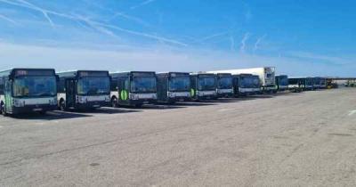 Hamie Launches Trial Maneuver for Buses