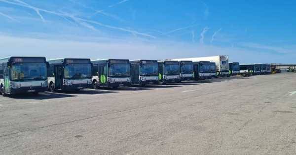 Hamie Launches Trial Maneuver for Buses