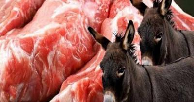 Egypt... Donkey Meat Seized in Markets!
