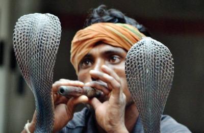 Woman Used a Snake and a Flutist to Kill Her Lover!