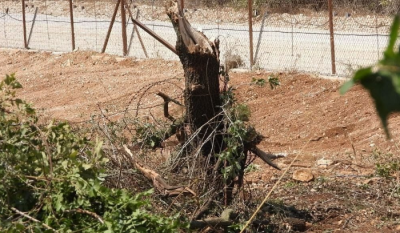 Israeli Force Breaches Blue Line in Houla