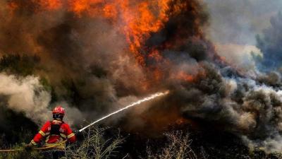 Forest Fires Sweep Through Spanish Region Amid Rising Temperatures