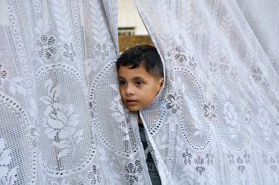 Title: "Ministry of Education Denies Expulsion of Palestinian Students from Public Schools"