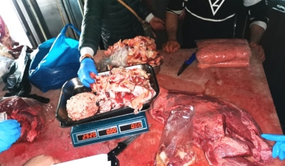 Seizure of Unfit Meat and Its Destruction in Tripoli