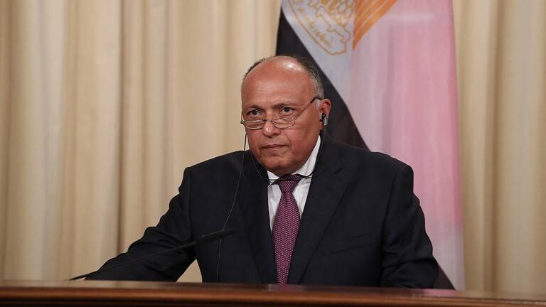 Egypt: We Are Ready to Host a Global Grain Supply and Storage Center