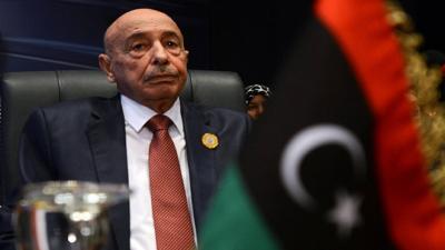 Title: Libyan Parliament Speaker Issues New Election Laws