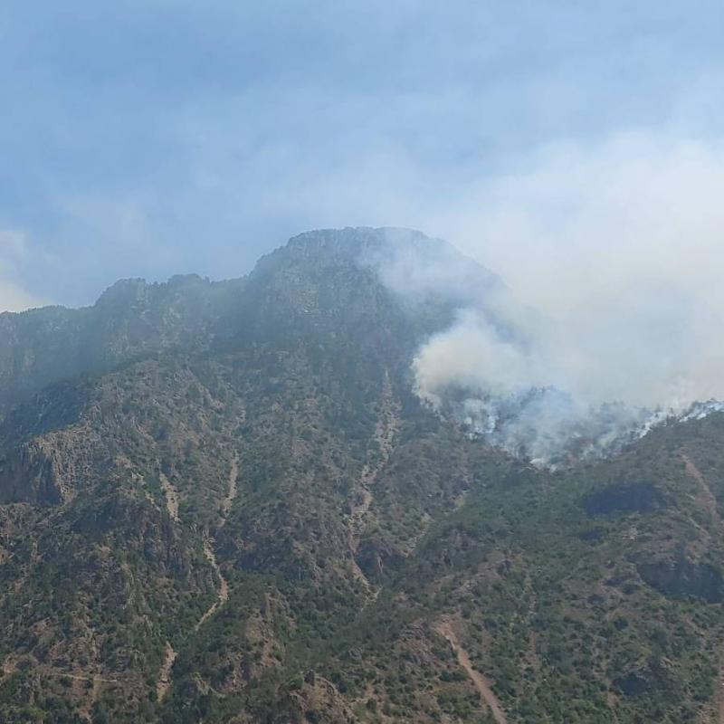 Fire Area Expands in 