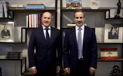 Muawad Meets with the Argentine Ambassador