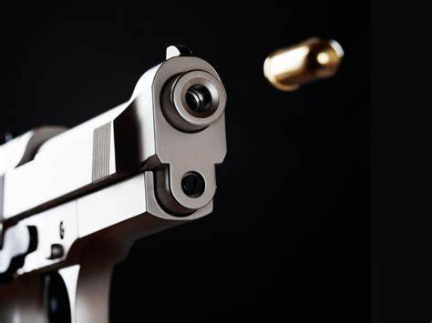 Title: Shooting in Turkey: Retired Soldier Kills Wife and Daughter