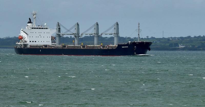 Ukraine Explores Possibility of Providing Insurance Services for Ships in the 