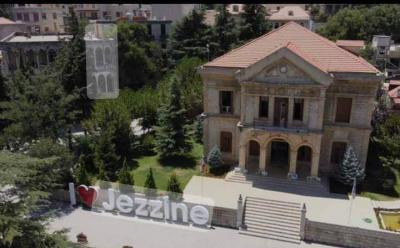 Assault and Insult: What Happened in Jezzine?