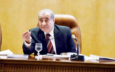 Egyptian Minister of Supply Reveals Country's Wheat Stock