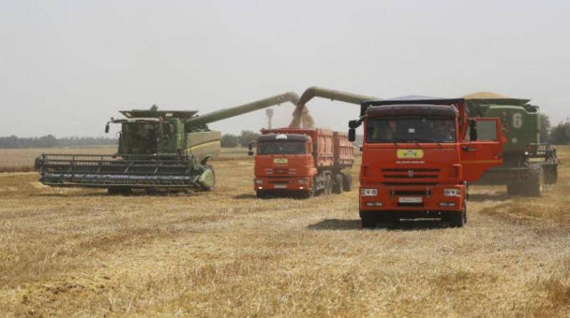 مصر: 14 دولة معتمدة لتوريد القمح... والمخزون يكفي لـ9 أشهر