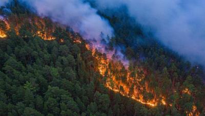 State of Emergency in Russia Due to Wildfires