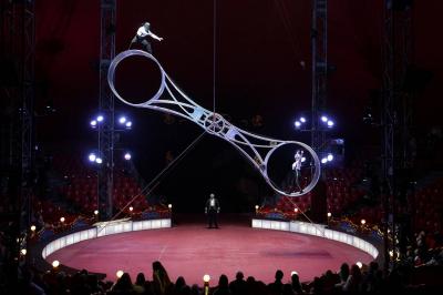Video of Performance Artist Falling from a Great Height
