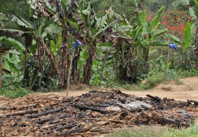 More than Twenty People Killed in Congo