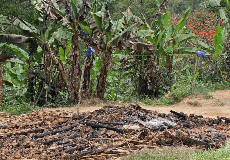 More than Twenty People Killed in Congo