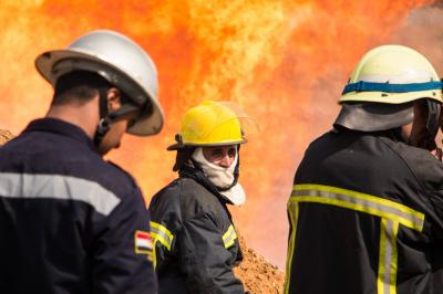 Large Fire in the Forest of Taba City, Egypt (Video)