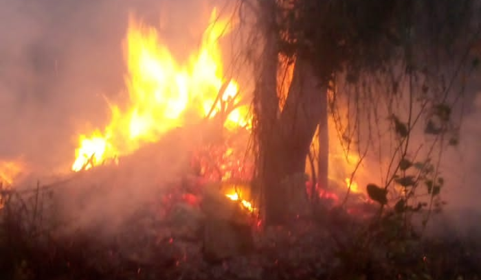 Large Fire in Al-Dinniyeh.. Efforts to Contain It