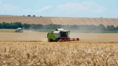 Title: Ukraine Doesn't Expect Change in Grain Export Status After Putin-Erdogan Talks