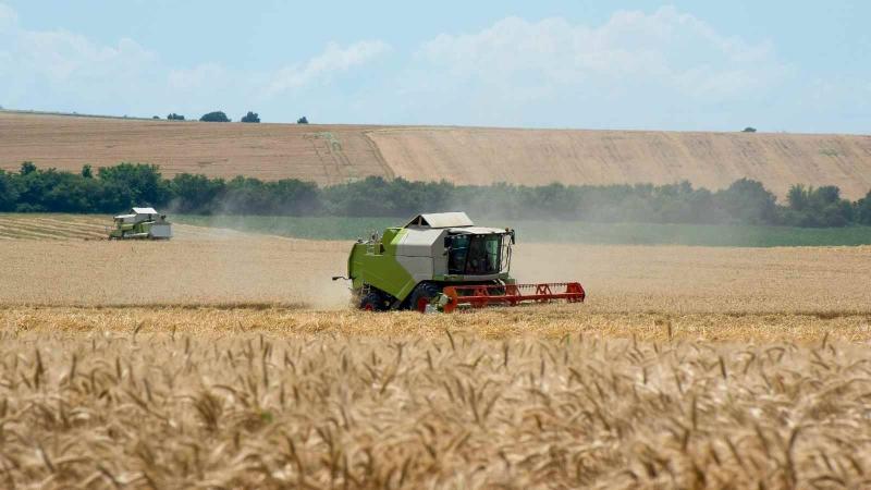 Title: Ukraine Doesn't Expect Change in Grain Export Status After Putin-Erdogan Talks