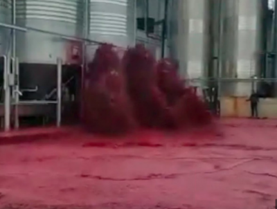 Title: Flood of Wine in Portugal: What Happened?