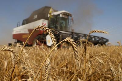 UN Sends Proposal to Putin to Save Grain Export Agreement