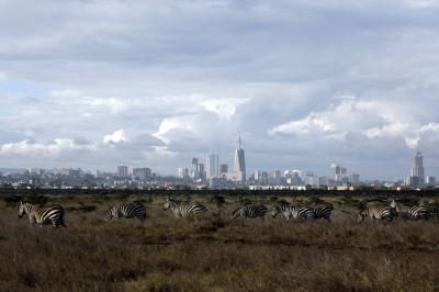 Auction to Sell Two Million Tons of Carbon Credits in Kenya