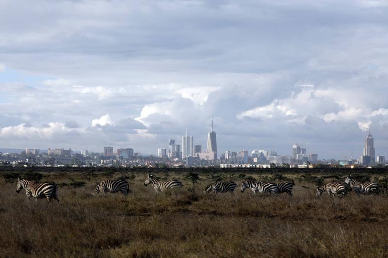 Auction to Sell Two Million Tons of Carbon Credits in Kenya