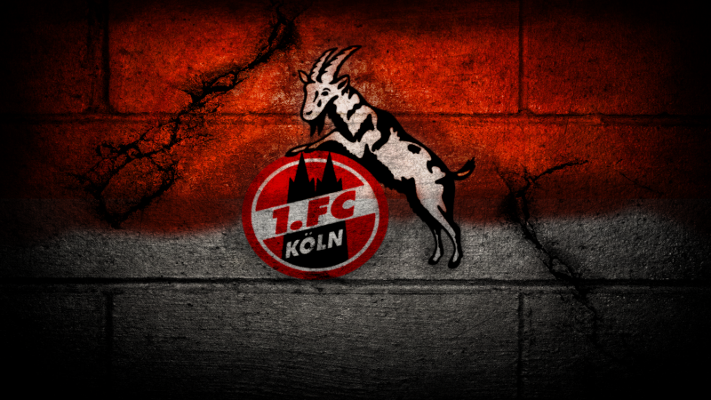 Temporary Suspension of Cologne's Player Transfer Ban