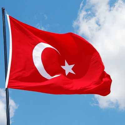 Title: Turkey Delays Support for Sweden's NATO Membership Bid