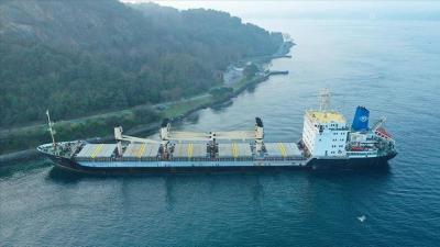 Resumption of Navigation in the Bosphorus Strait in Turkey After Brief Suspension