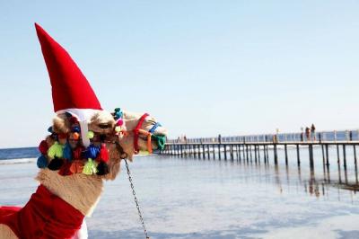 Expectations for a Rise in Tourism Bookings to Egypt After Christmas
