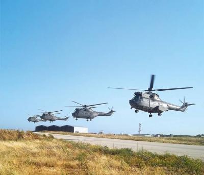 Lebanese Army Clarifies Movement at Its Airport