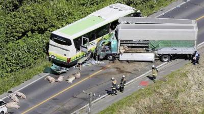 Video - Deaths and Injuries in Truck-Bus Collision in Japan