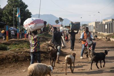 Extension of Regional Force to Address Violence in Congo