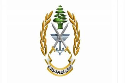 Title: Israel Launches Two Hand Grenades in Kfar Shuba Outskirts