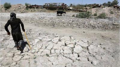 Water Scarcity in Iraq Causes Catastrophe for Biodiversity