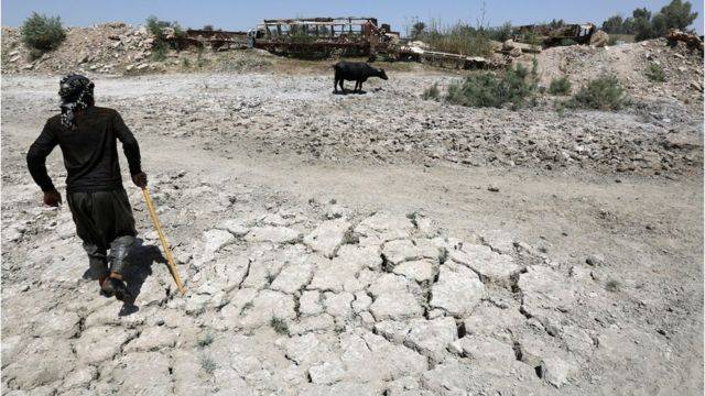 Water Scarcity in Iraq Causes Catastrophe for Biodiversity