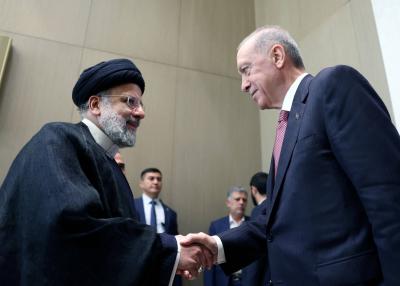 Erdogan to Raesi: We Are Ready to Take on a Guarantee Role in Resolving the Gaza Crisis