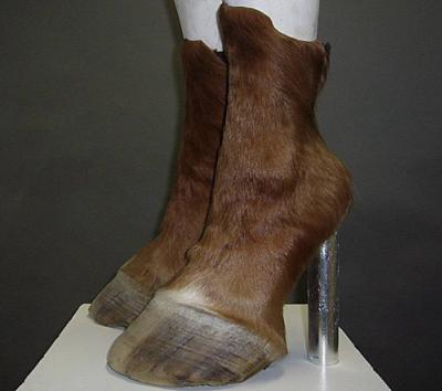 "Hoof" Shoes Gain Popularity Worldwide