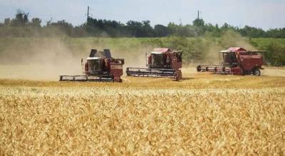 Ukrainian Infrastructure Minister to Visit Turkey to Discuss Grain Agreement