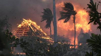 Death Toll from Wildfires in Hawaii Rising to 99