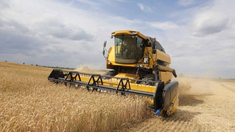 Ukraine Begins Grain Harvest for 2023