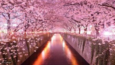 Major Festivals Around the World in March 2023