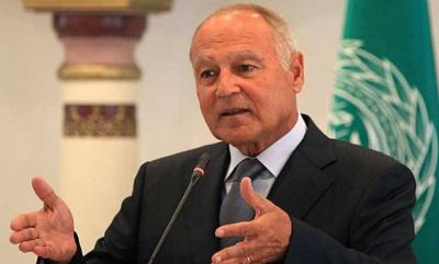 Aboul Gheit Emphasizes the Importance of Renewing the Grain Agreement