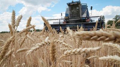 World Trade Organization: Extension of Grain Deal Will Lower Product Prices